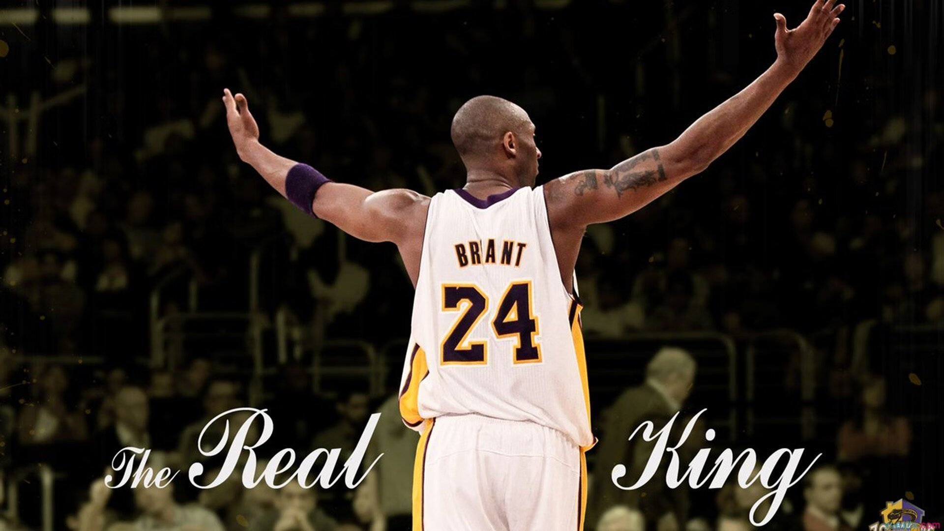 美洲杯明星云集：精彩对决引爆赛场！，美洲杯巨星